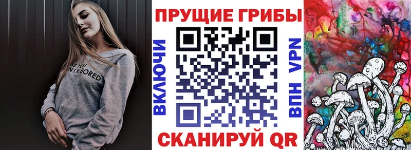 blacksprut онион  Бабаево  Псилоцибиновые грибы ЛСД 